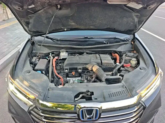 Honda Odyssey — Фото автомобиля 19