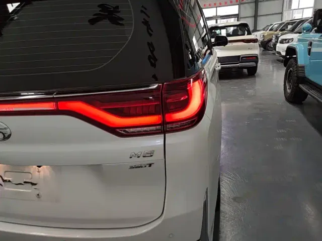 GAC Trumpchi M8 — Фото автомобиля 7