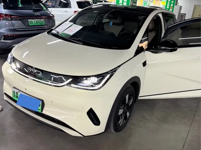 Фотография автомобиля — BYD Dolphin