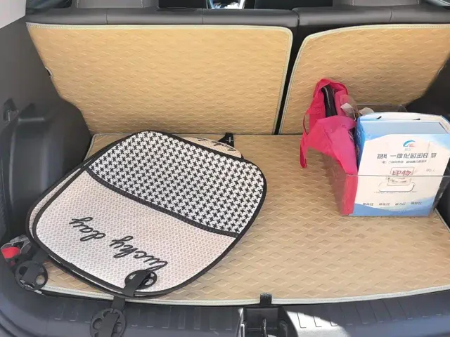 Geely Starry Wish — Фото автомобиля 4