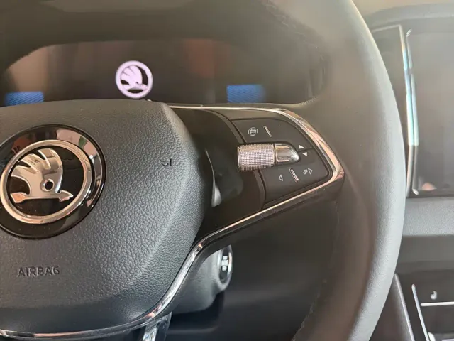 Škoda Karoq 2023 TSI280 Premium Edition — Фото автомобиля 19