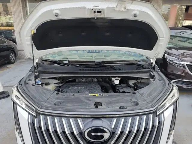 GAC Trumpchi M8 — Фото автомобиля 19