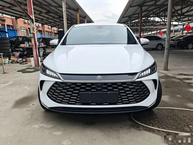BYD Qin PLUS — Фото автомобиля 2