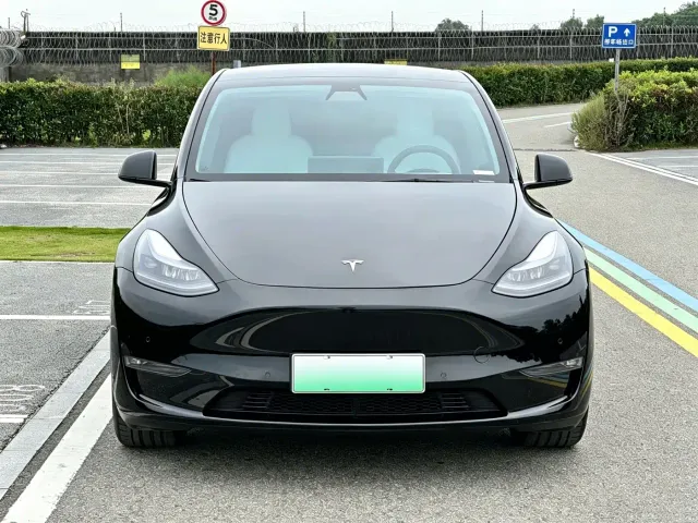 Tesla Model Y — Фото автомобиля 2