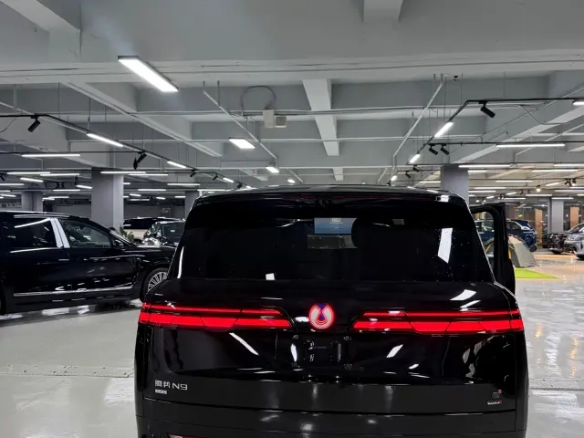 Denza N9 — Фото автомобиля 10