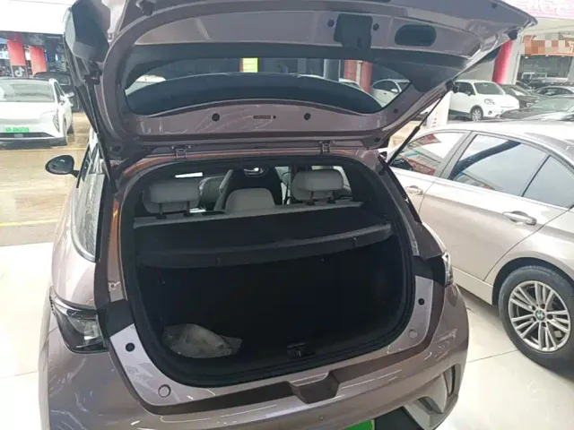 BYD Dolphin — Фото автомобиля 18