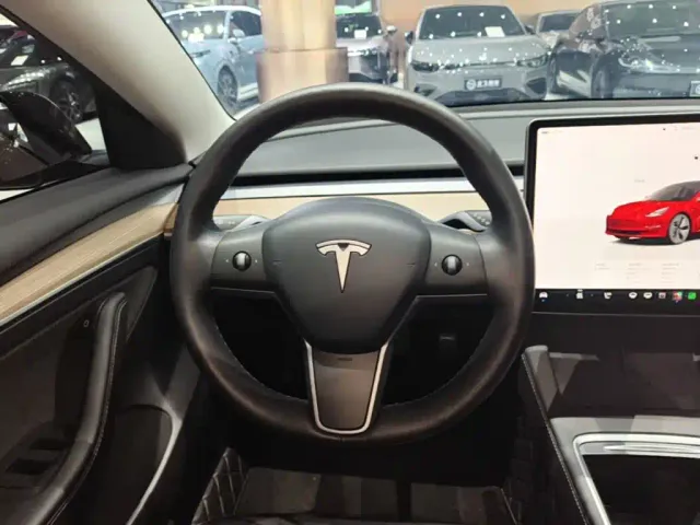 Tesla Model 3 — Фото автомобиля 10
