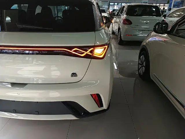 BYD Dolphin — Фото автомобиля 7