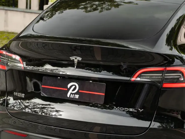 Tesla Model Y — Фото автомобиля 8