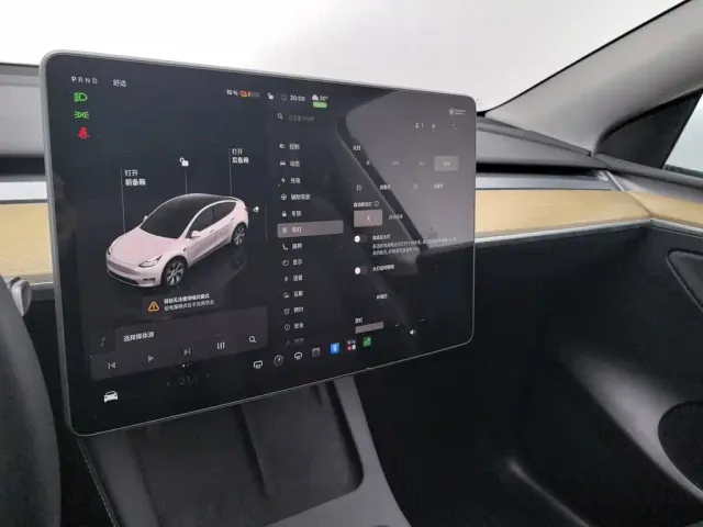 Tesla Model Y — Фото автомобиля 21