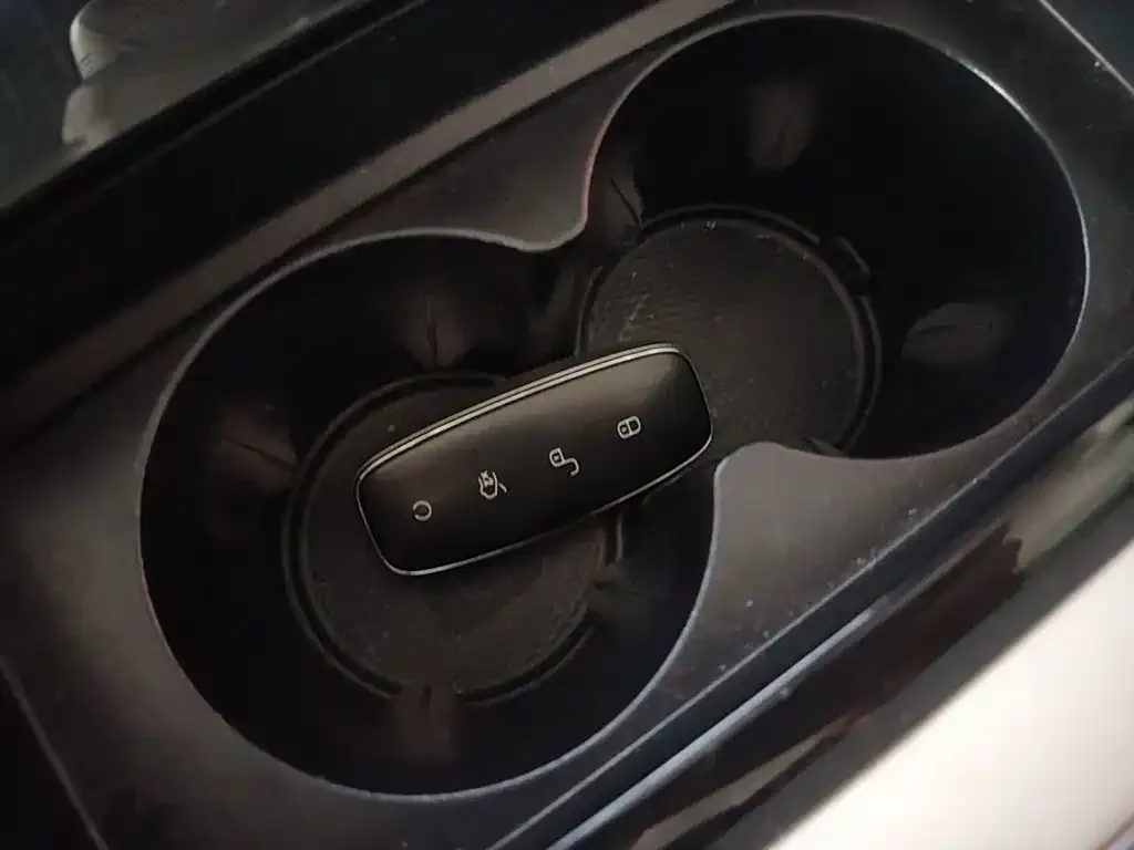 Denza Denza D9 2024 DM-i 980 AWD Prestige — Фото автомобиля 8