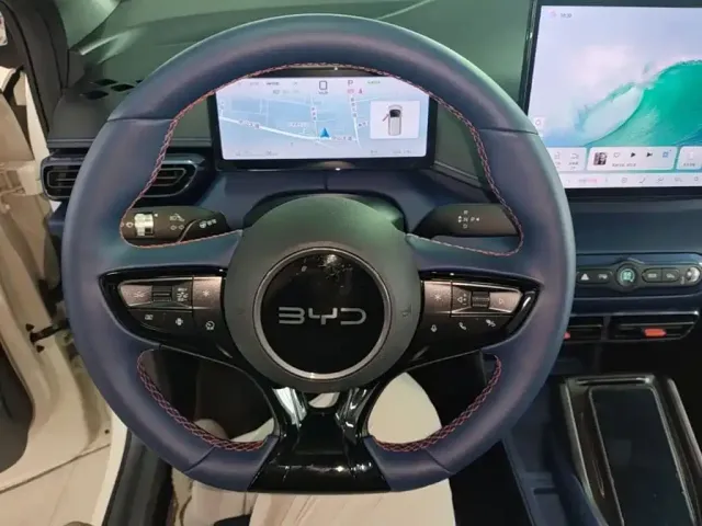 BYD Seagull 2025 Smart Drive Edition 305km Freedom Version — Фото автомобиля 10