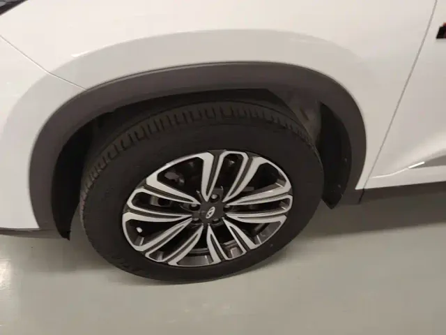 Chery Tiggo 8 — Фото автомобиля 24