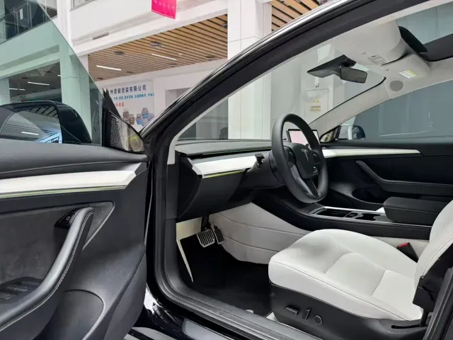 Tesla Model 3 — Фото автомобиля 8