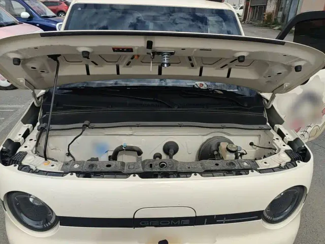 Geely Panda — Фото автомобиля 19