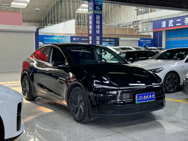 Tesla Model Y — Фото автомобиля 3