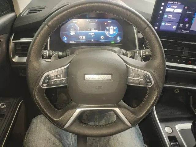 Haval H6 — Фото автомобиля 10
