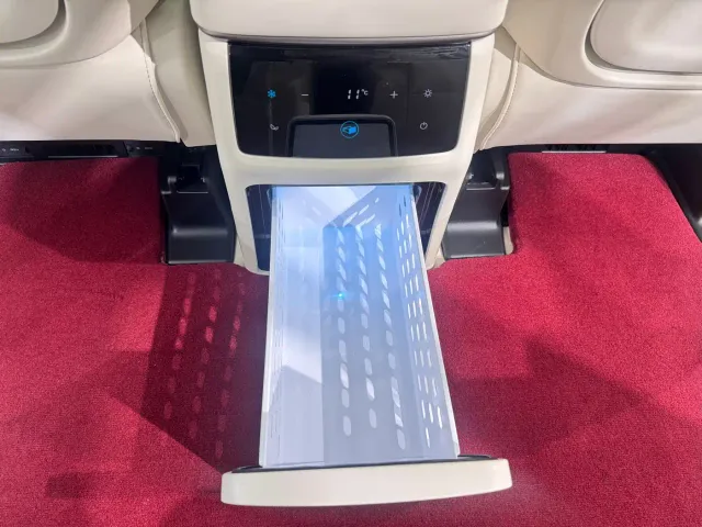 Wey Alpine — Фото автомобиля 14
