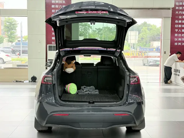 Tesla Model Y — Фото автомобиля 9