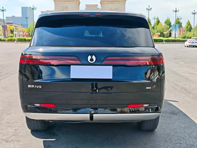 Denza N9 — Фото автомобиля 8