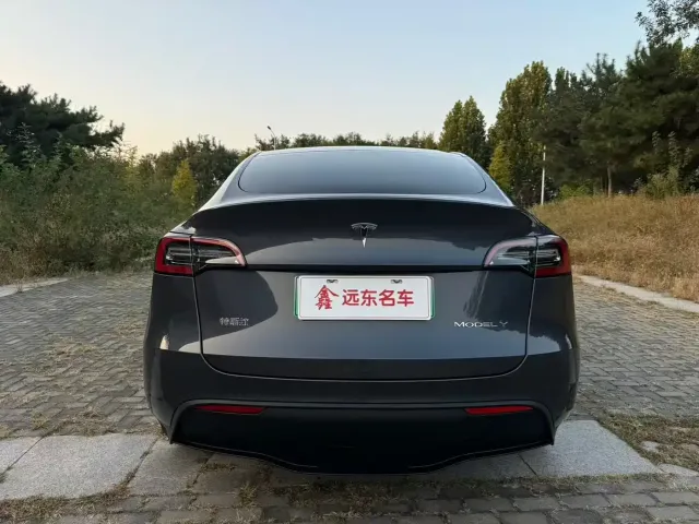 Tesla Model Y — Фото автомобиля 20