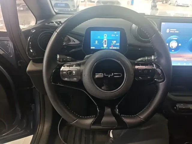 BYD Dolphin — Фото автомобиля 10