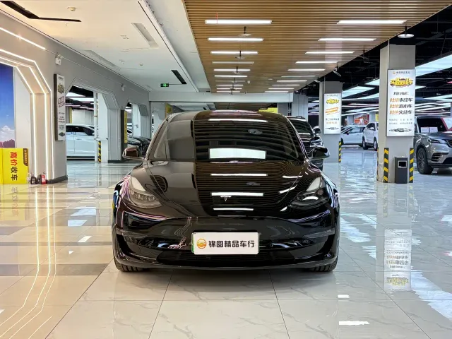 Tesla Model 3 — Фото автомобиля 8