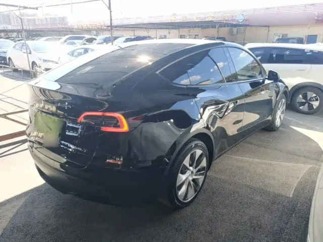 Tesla Model Y — Фото автомобиля 6