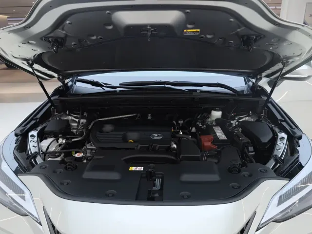 Lexus NX — Фото автомобиля 23