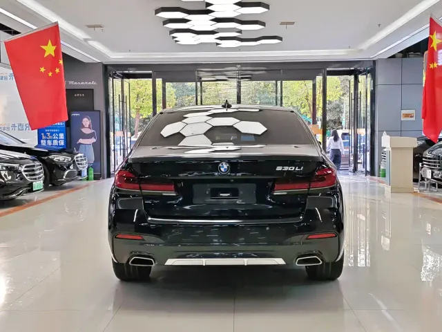 BMW 5 Series — Фото автомобиля 8