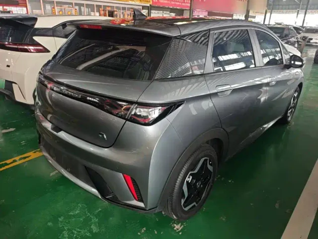 BYD Dolphin 2021 Model 405km Fashion Edition — Фото автомобиля 6