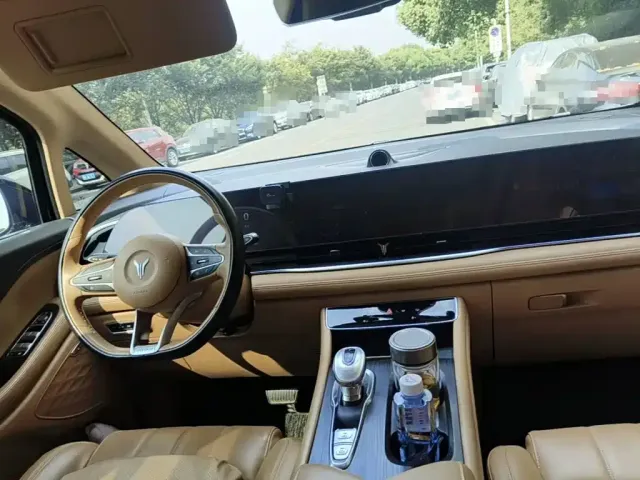Voyah Auto Voyah Dreamer 2022 Zero-carbon Edition Home+Range Package 605km — Фото автомобиля 11