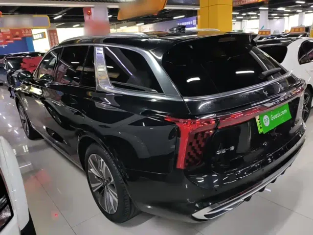 Hongqi E-HS9 — Фото автомобиля 4