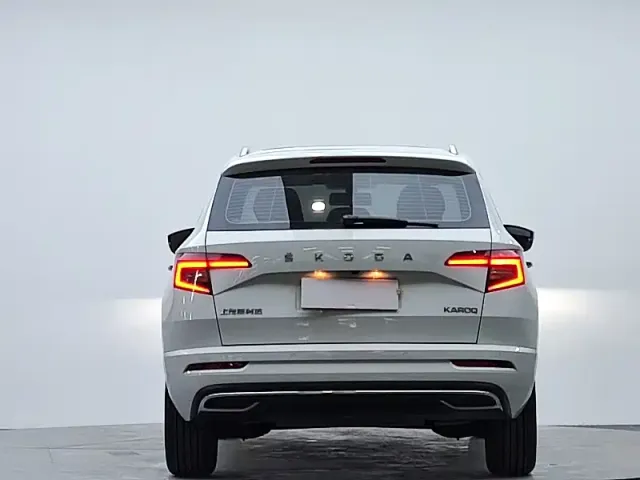 Skoda Karoq — Фото автомобиля 6