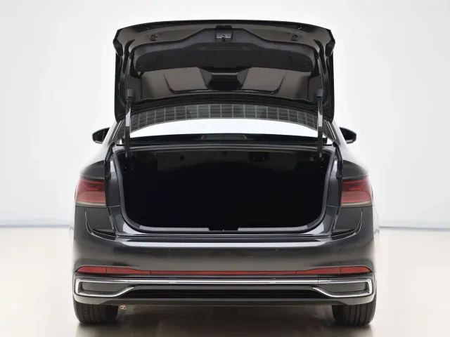 Volkswagen Sagitar — Фото автомобиля 10