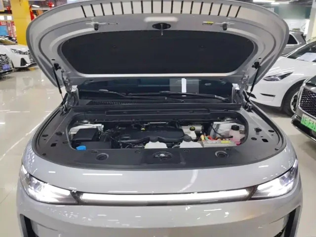 Leapmotor Leapmotor C16 2024 Extended Range 200 Premium Edition — Фото автомобиля 19