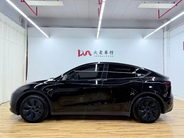 Tesla Model Y — Фото автомобиля 5
