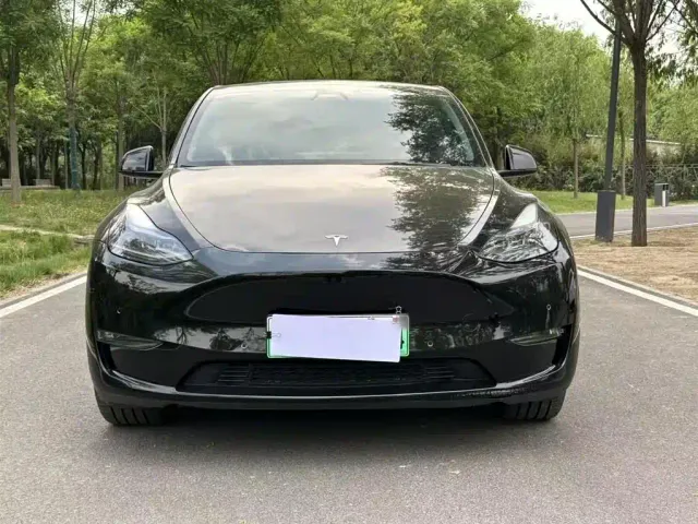 Tesla Model Y — Фото автомобиля 2