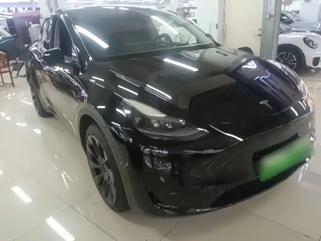 Tesla Model Y — Фото автомобиля 3