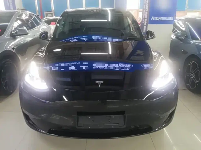 Tesla Model Y — Фото автомобиля 2