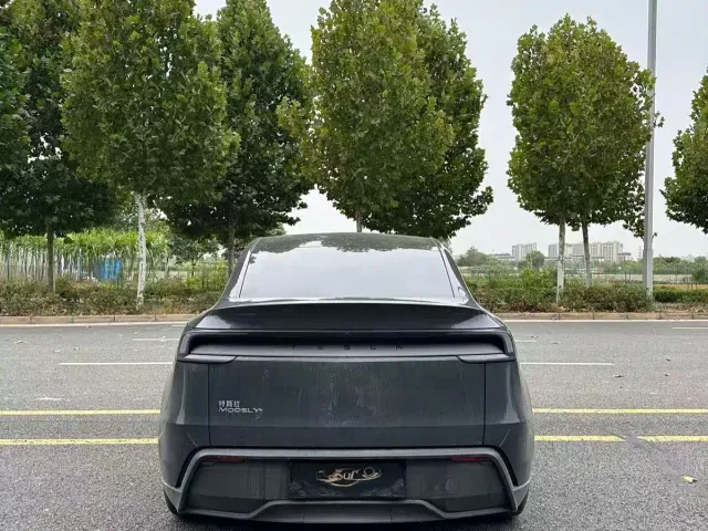 Tesla Model Y — Фото автомобиля 8