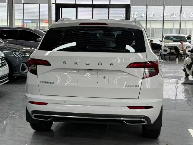 Skoda Karoq — Фото автомобиля 11