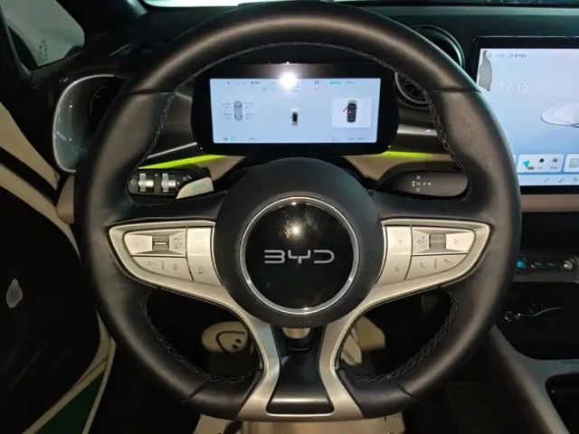 BYD Dolphin — Фото автомобиля 10