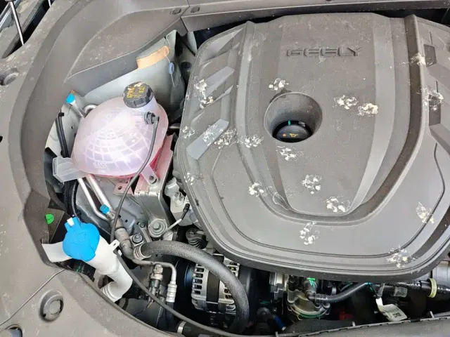 Geely Xingyue L — Фото автомобиля 20