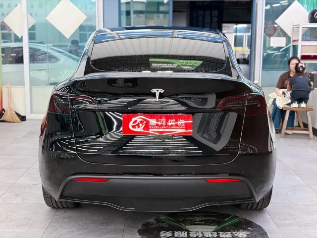 Tesla Model Y — Фото автомобиля 6