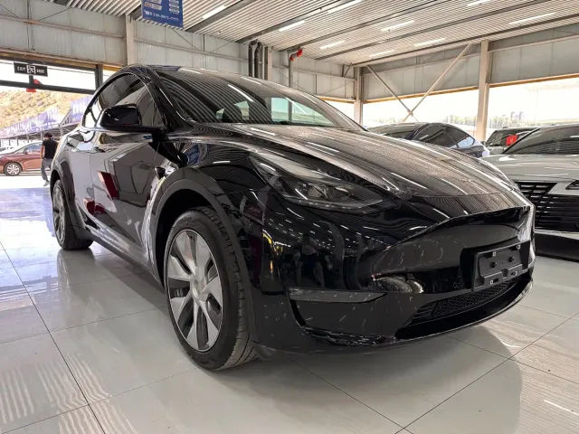 Tesla Model Y — Фото автомобиля 3