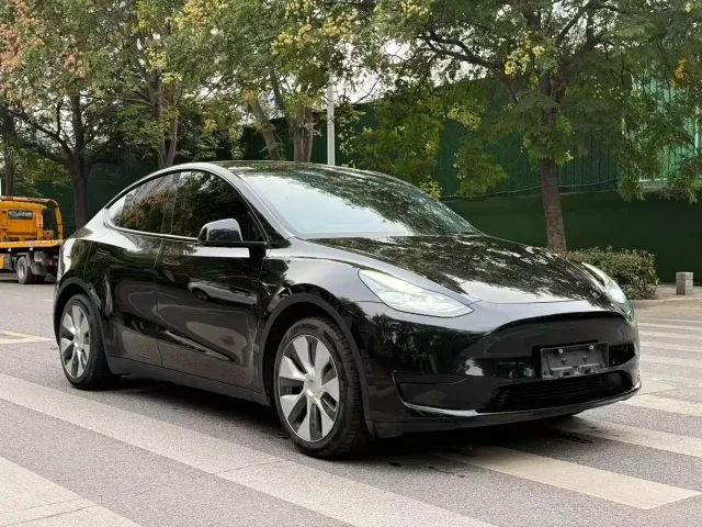 Tesla Model Y — Фото автомобиля 3