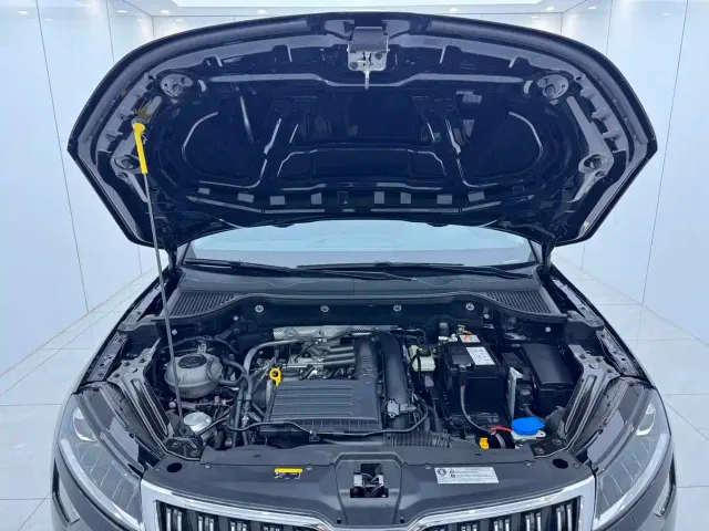 Skoda Karoq — Фото автомобиля 12