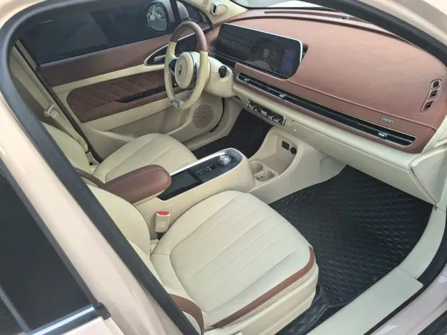 Ora Ora Good Cat 2022 400km Standard Range Premium LFP — Фото автомобиля 7