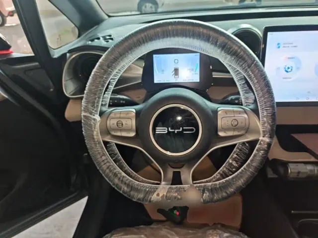 BYD Dolphin — Фото автомобиля 10
